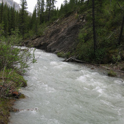 IMG_1184.JPG