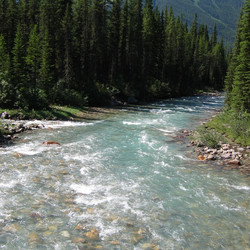 IMG_1205.JPG
