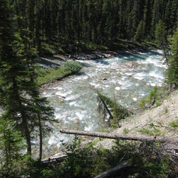 IMG_1210.JPG
