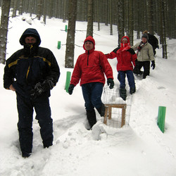 IMG_0046.jpg