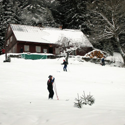 IMG_0012.jpg