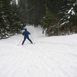 IMG_0093.jpg