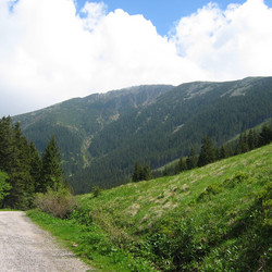 IMG_0065.JPG