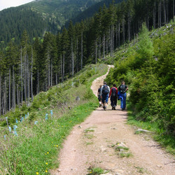 IMG_0068.JPG