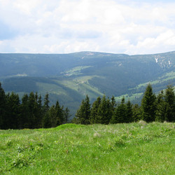 IMG_0085.JPG