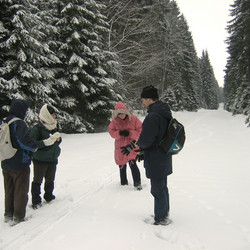 IMG_0051.JPG
