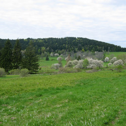 img_0006.jpg
