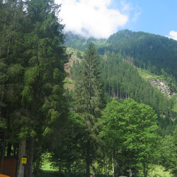 IMG_0002.JPG