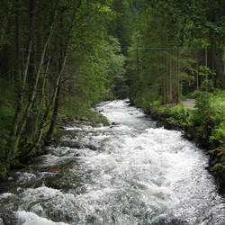 IMG_0003.JPG