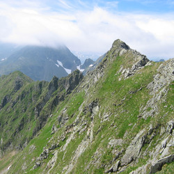 IMG_0050.JPG