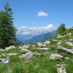IMG_0055.JPG