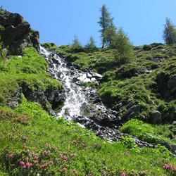 IMG_0058.JPG