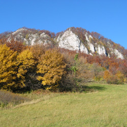 IMG_0030.JPG