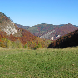 IMG_0031.JPG