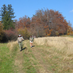 IMG_0040.JPG