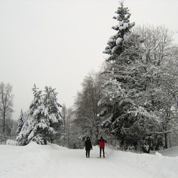 IMG_0007.jpg