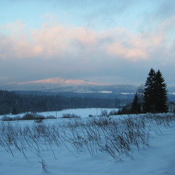 IMG_0046.jpg