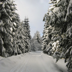 img_0001.jpg