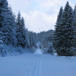 img_0006.jpg