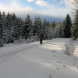 img_0011.jpg