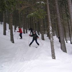 IMG_0006.JPG