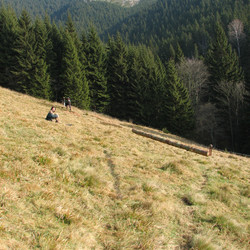 IMG_0008.JPG