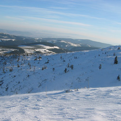 IMG_0015.JPG