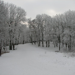 IMG_0020.JPG
