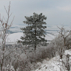 IMG_0024.JPG