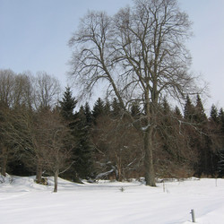 IMG_0008.JPG