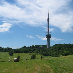 IMG_0018.JPG