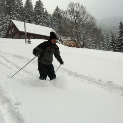 IMG_0005.jpg