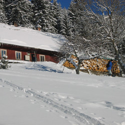 IMG_0014.JPG