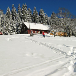 IMG_0024.jpg