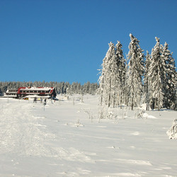IMG_0036.jpg