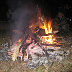 IMG_0011.JPG