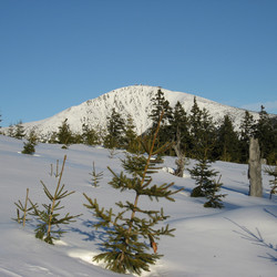 IMG_0012.JPG