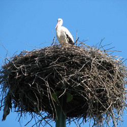 IMG_0044.jpg