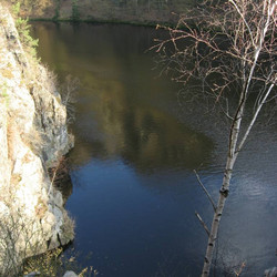 IMG_0005.jpg
