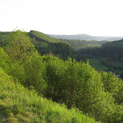 IMG_0014.jpg