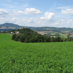 IMG_0006.JPG