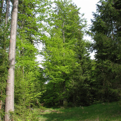 IMG_0001.JPG