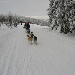 IMG_0017.JPG