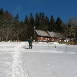 IMG_0006.JPG