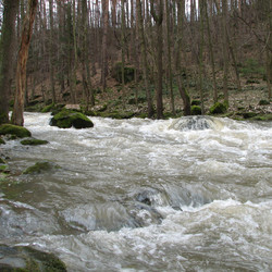 IMG_0004.JPG