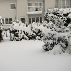 IMG_0005.JPG