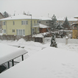 IMG_0009.JPG