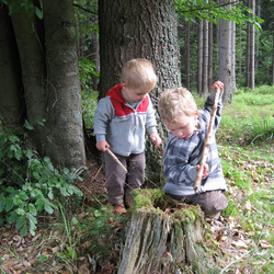 IMG_0006.JPG