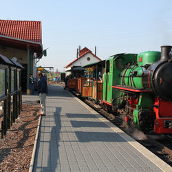 IMG_0005.JPG