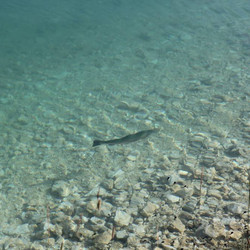 IMG_0040.jpg